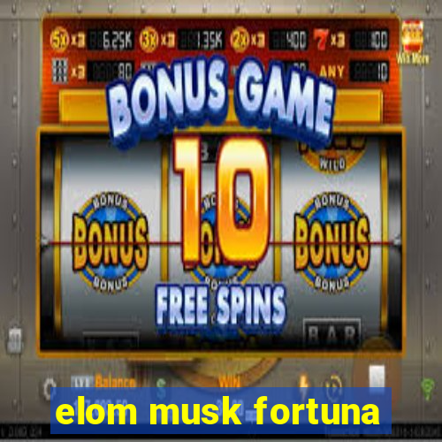 elom musk fortuna