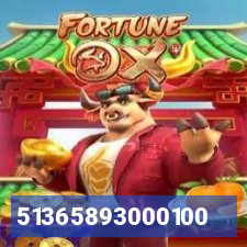 51365893000100