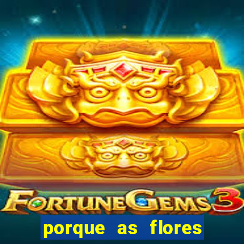 porque as flores da roma caem