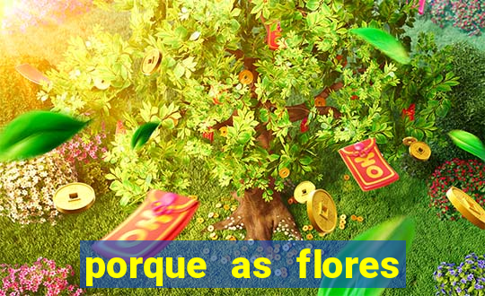 porque as flores da roma caem