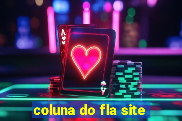 coluna do fla site