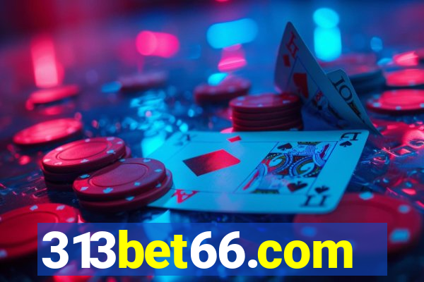 313bet66.com