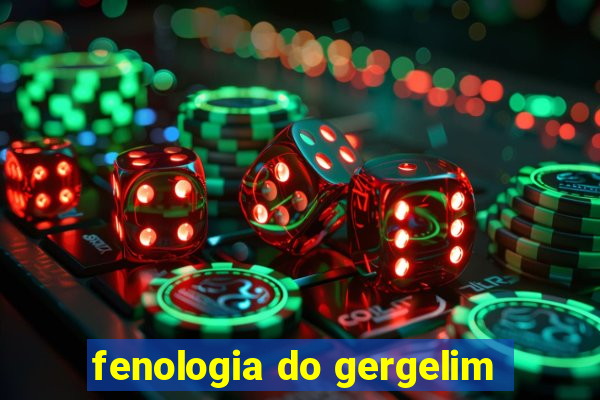 fenologia do gergelim