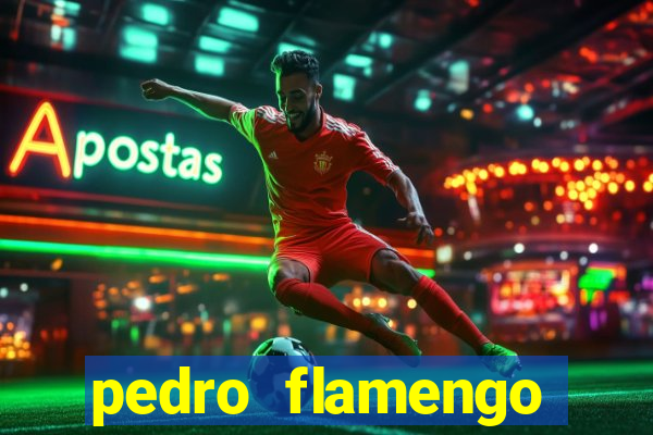 pedro flamengo antes e depois