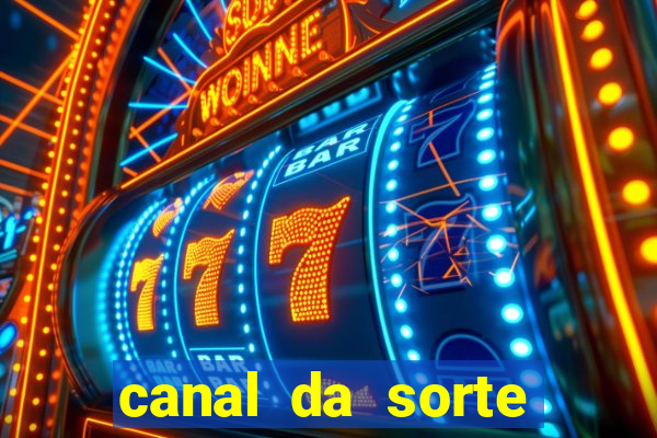 canal da sorte bingo de hoje