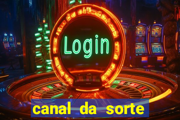 canal da sorte bingo de hoje