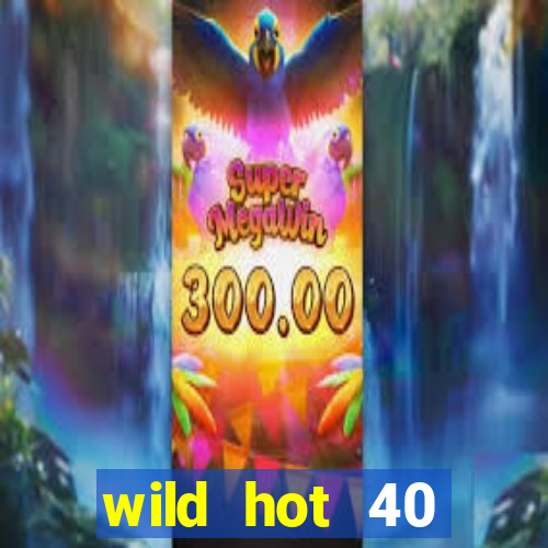 wild hot 40 christmas slot