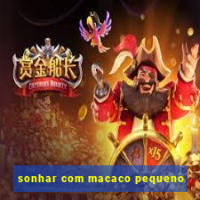 sonhar com macaco pequeno