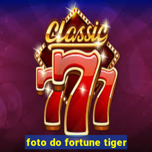 foto do fortune tiger