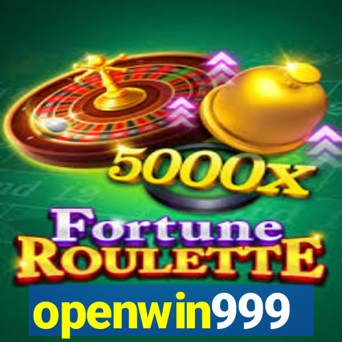 openwin999