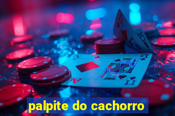 palpite do cachorro