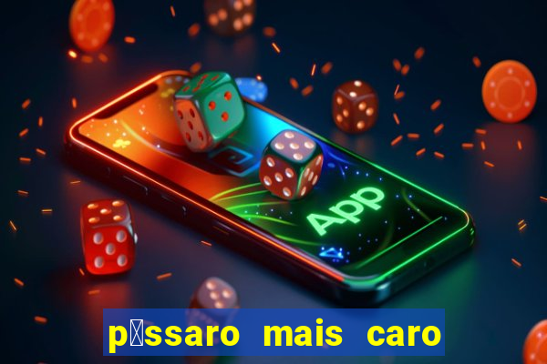 p谩ssaro mais caro do mundo