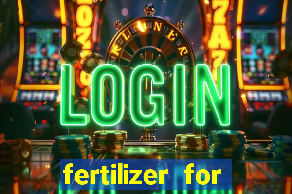 fertilizer for magnolia little gem