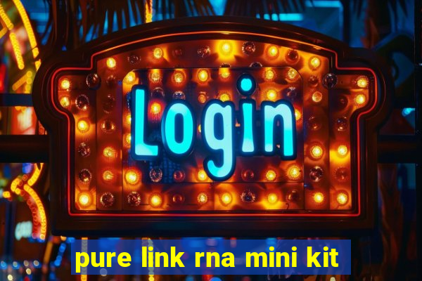 pure link rna mini kit