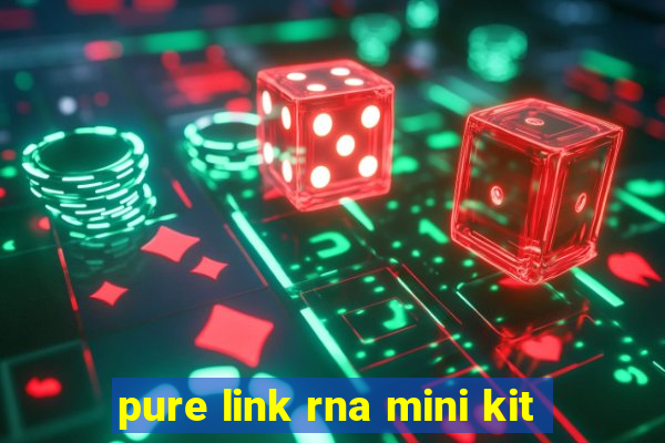 pure link rna mini kit