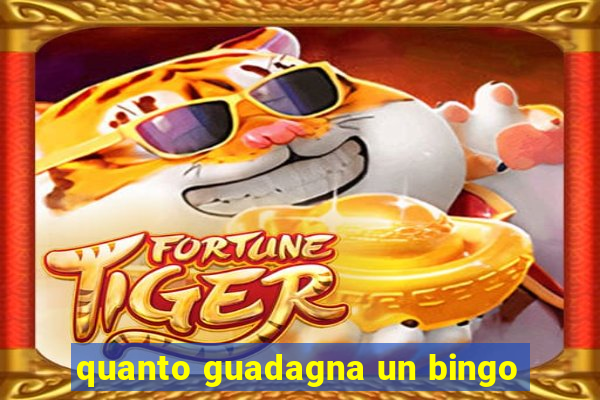 quanto guadagna un bingo