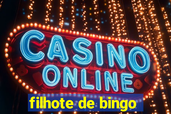 filhote de bingo