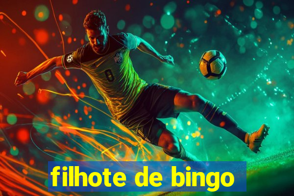 filhote de bingo