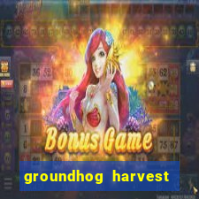 groundhog harvest pg slot