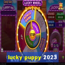 lucky puppy 2023