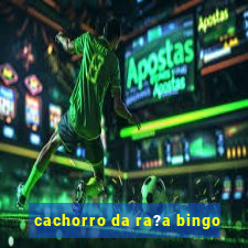 cachorro da ra?a bingo