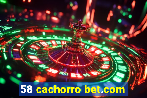 58 cachorro bet.com