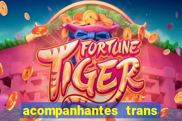 acompanhantes trans em santos