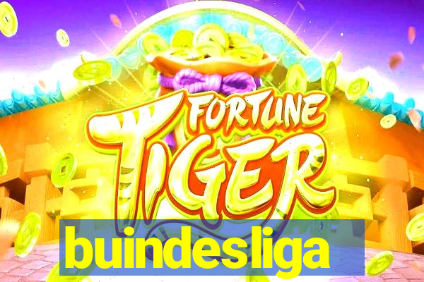 buindesliga