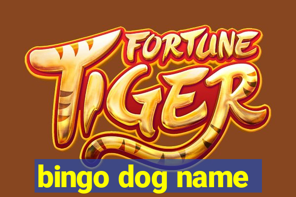 bingo dog name