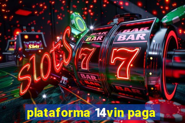 plataforma 14vin paga