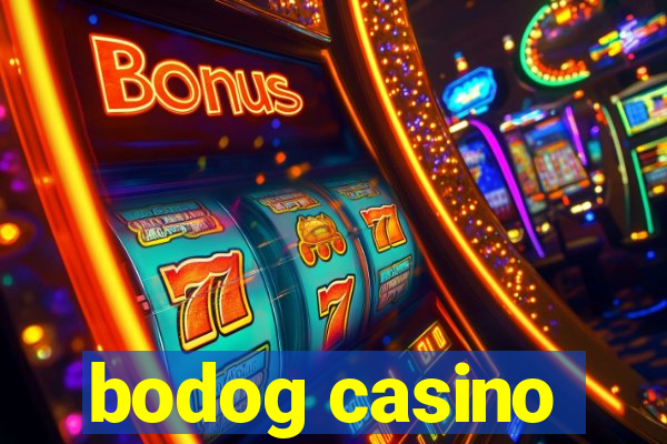 bodog casino