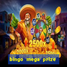 bingo mega prize paga mesmo