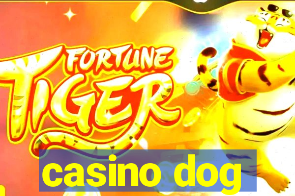 casino dog