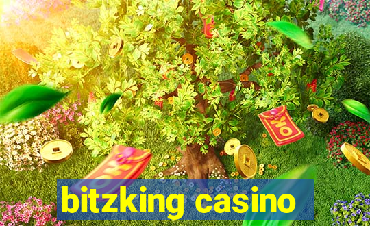 bitzking casino