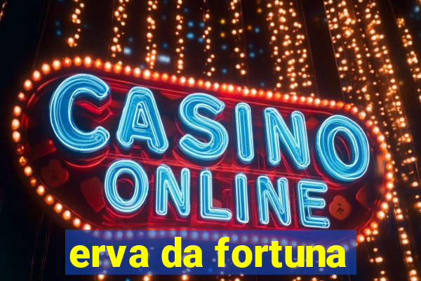 erva da fortuna