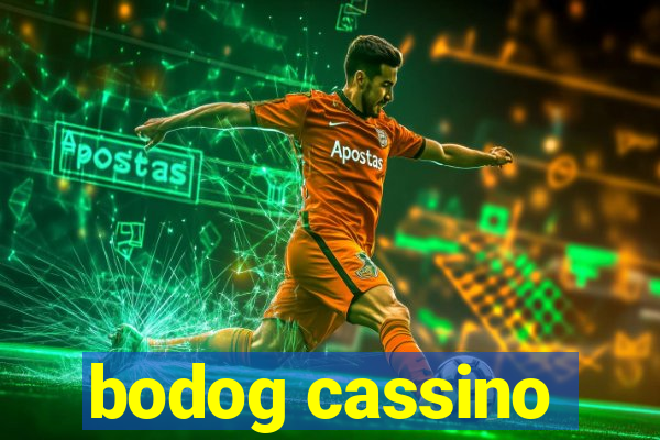 bodog cassino