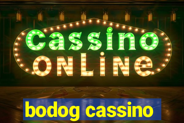 bodog cassino