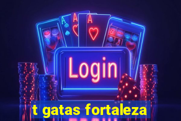 t gatas fortaleza