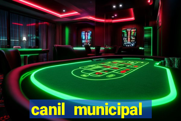 canil municipal porto alegre