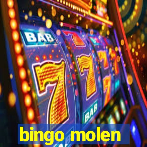 bingo molen