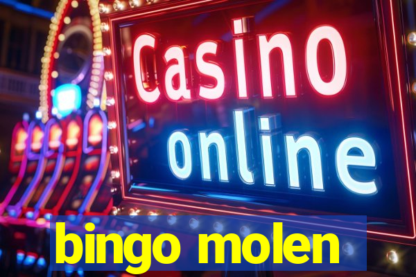 bingo molen