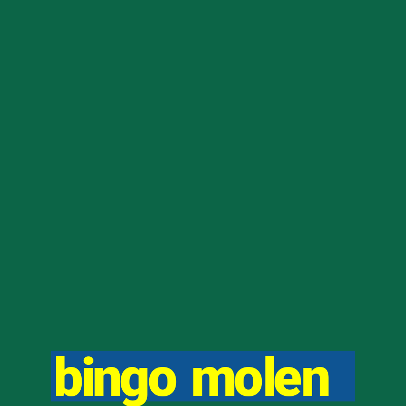 bingo molen