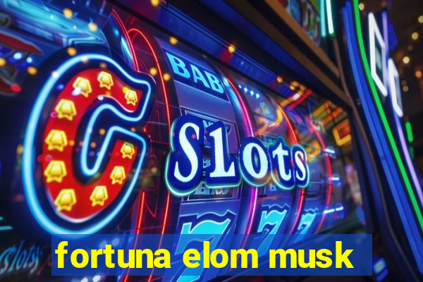 fortuna elom musk