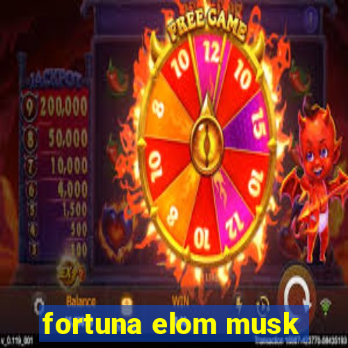 fortuna elom musk