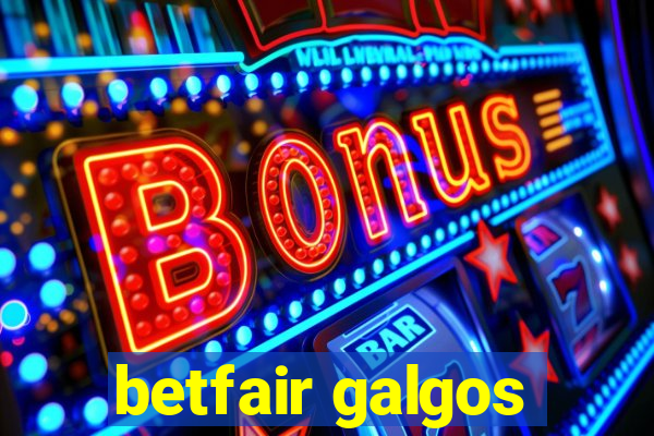 betfair galgos