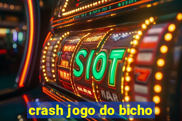 crash jogo do bicho