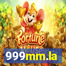 999mm.la