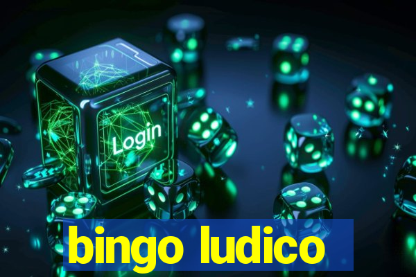 bingo ludico