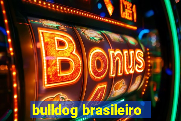 bulldog brasileiro