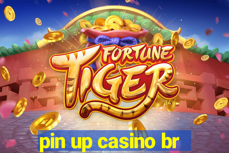 pin up casino br